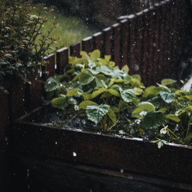 Rainy Day Work