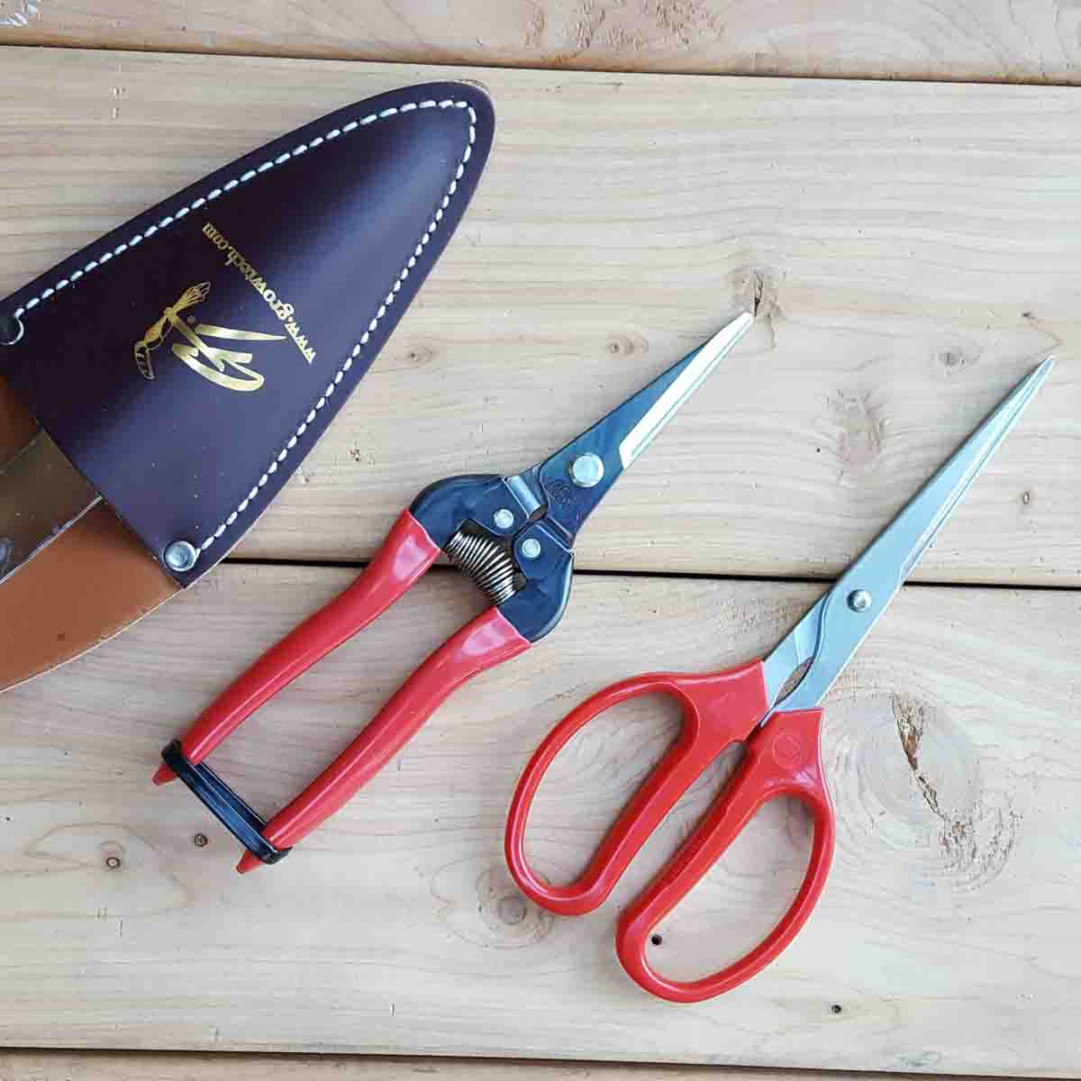 ARS Garden Scissors - Long (340HT)
