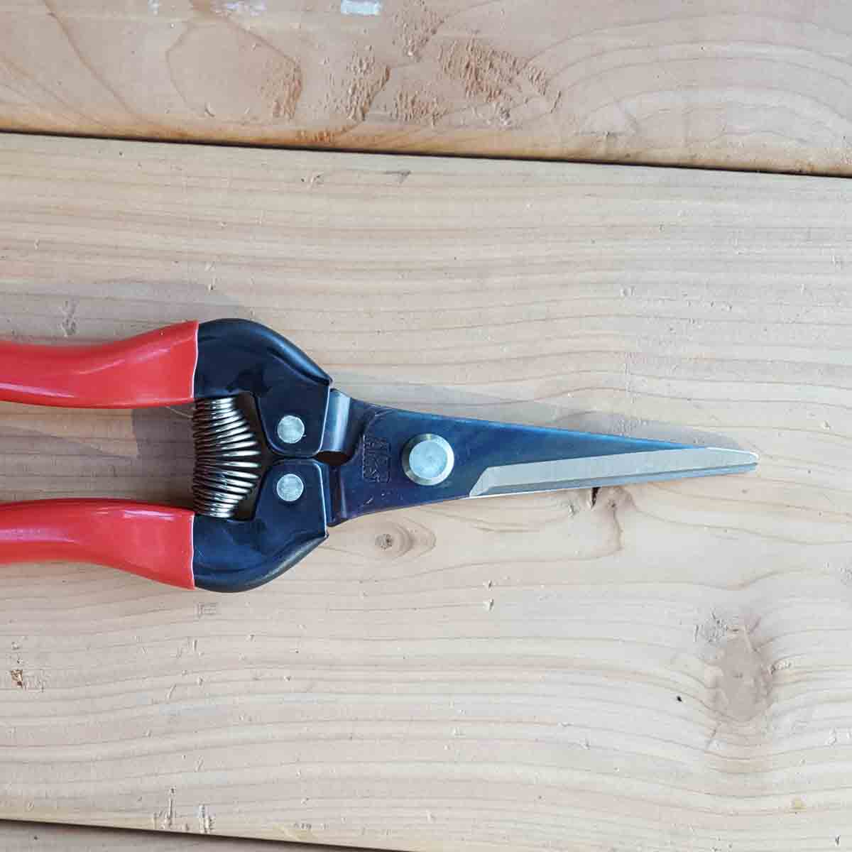 ARS Needlenose Pruners / Fruit Snips (300L)