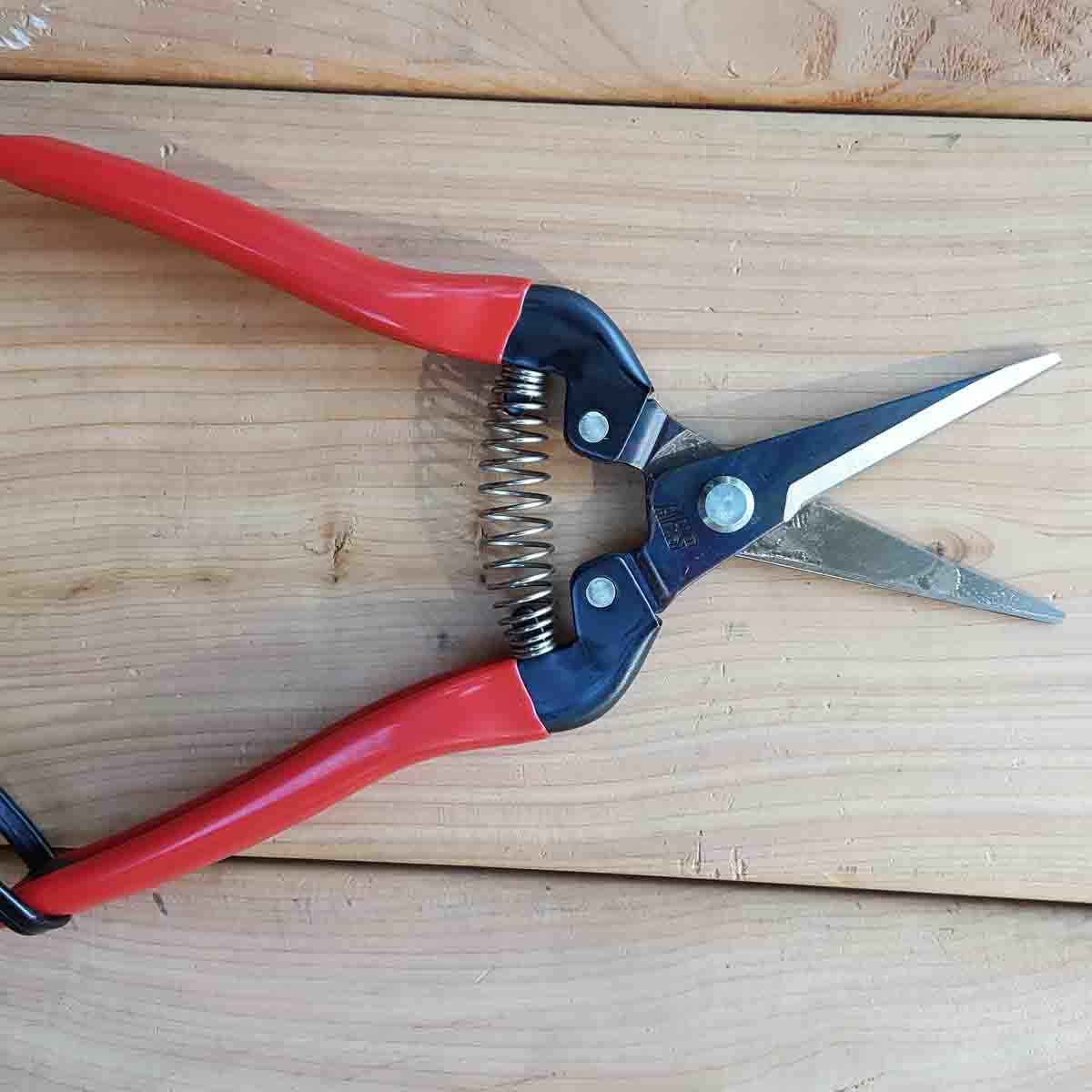 ARS Needlenose Pruners / Fruit Snips (300L)