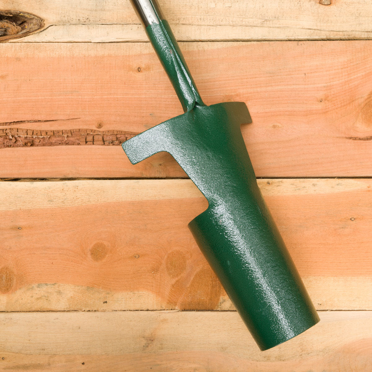 Stand Up 3" Bulb Planter (Bulldog)