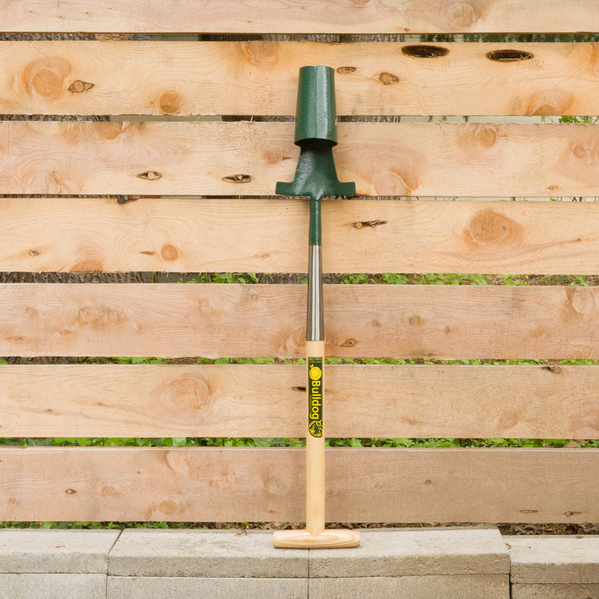 Stand Up 3" Bulb Planter (Bulldog)