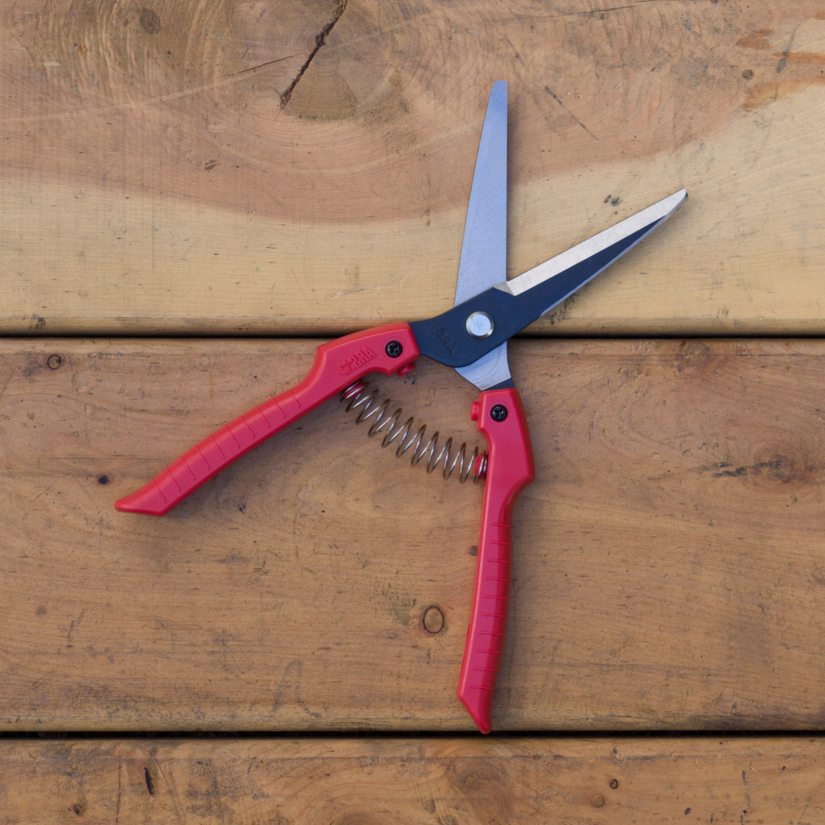 ARS Onion Scissors - extra long blade (SE65)