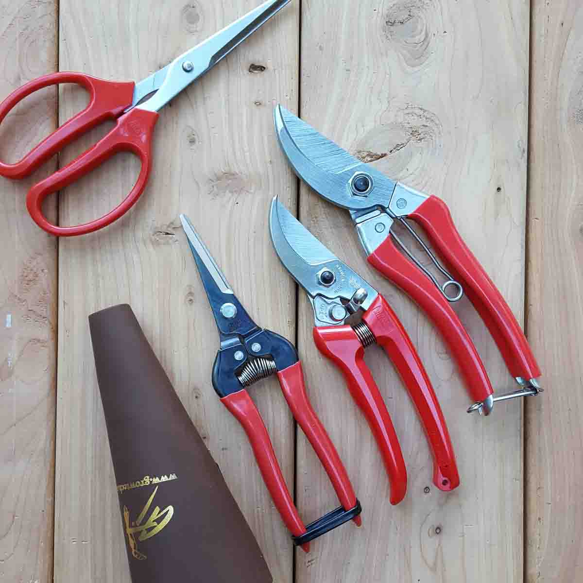ARS Garden Scissors - Long (340HT)
