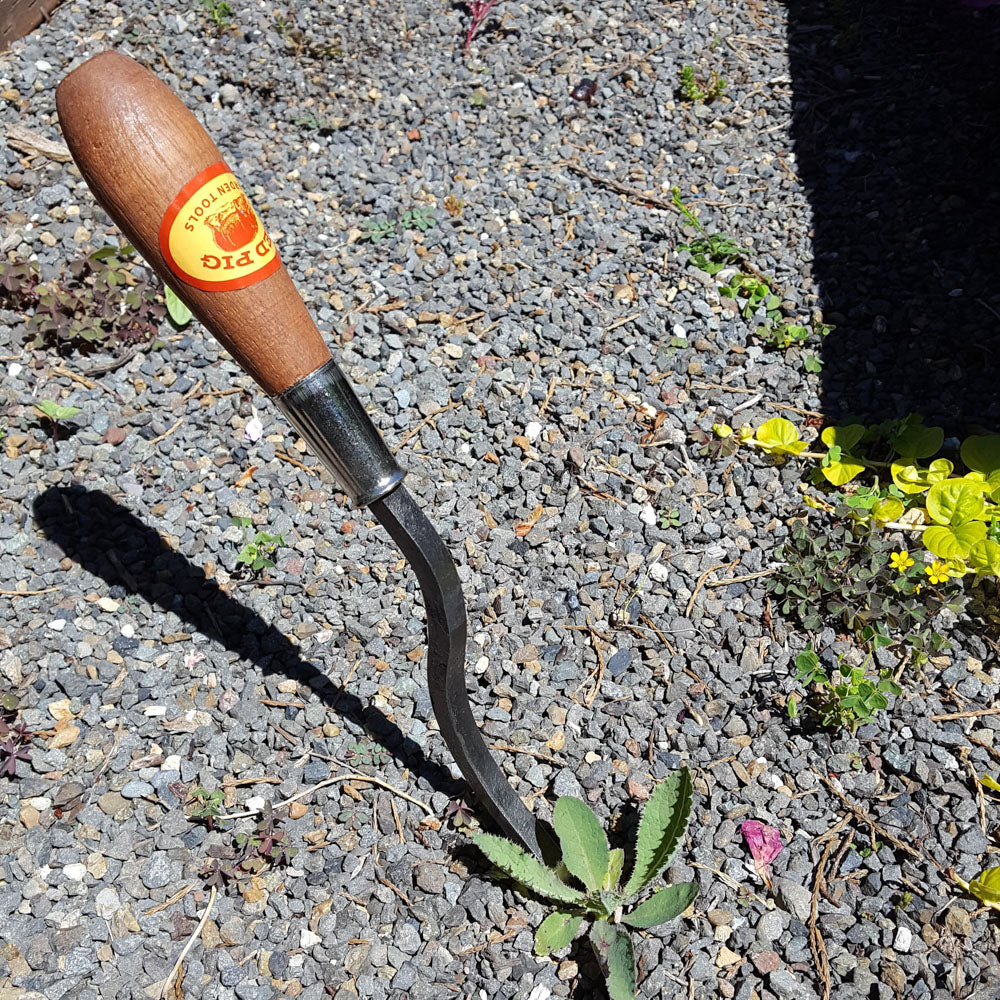 The asparagus knife in action as a weeder.