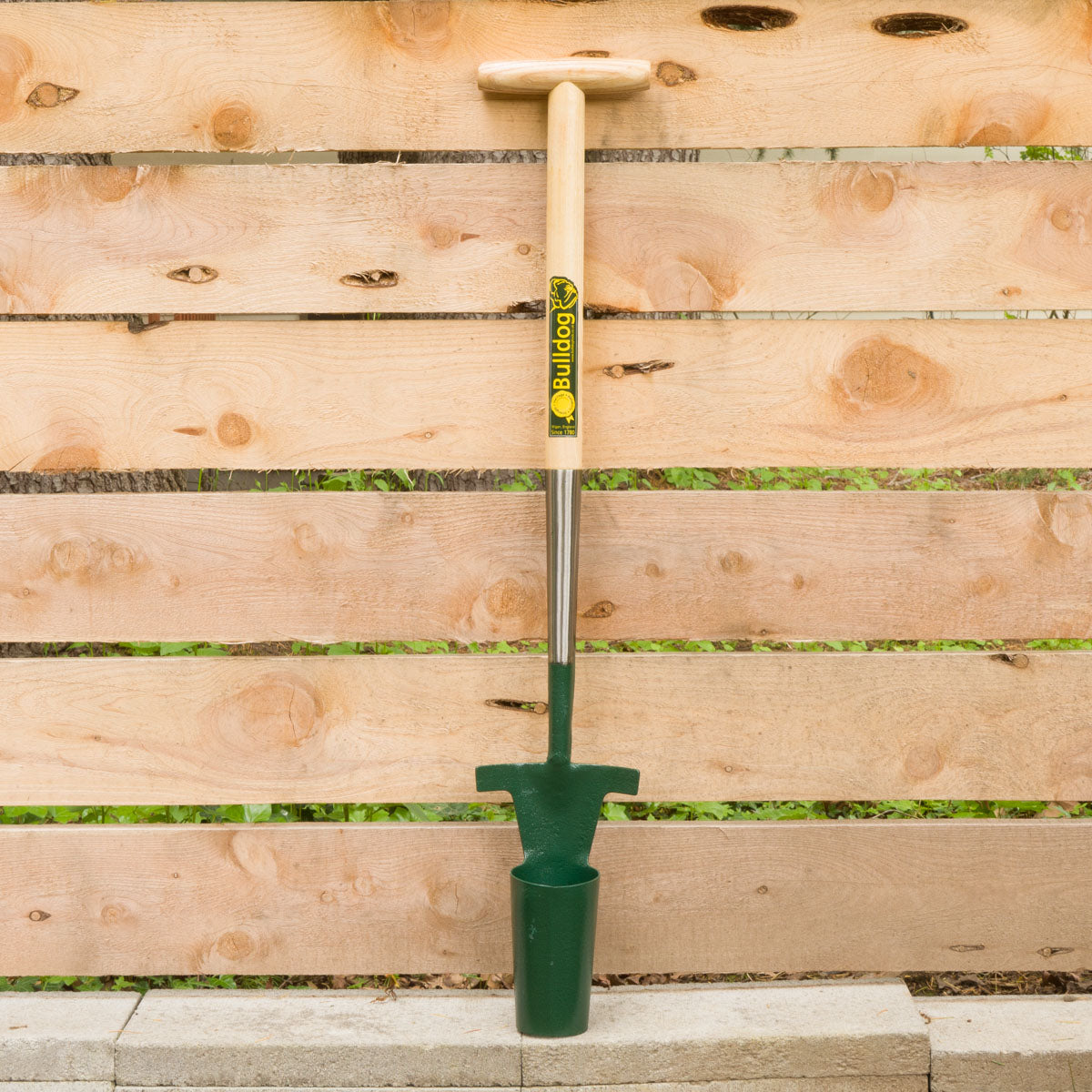 Stand Up 3" Bulb Planter (Bulldog)