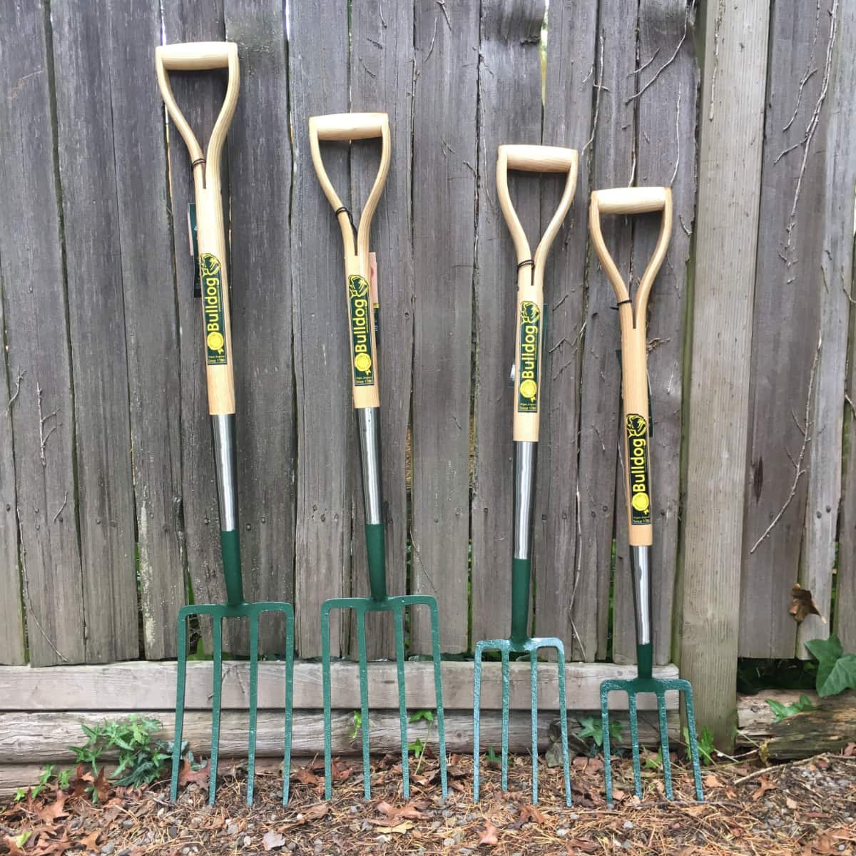 The D-handled forks include (from the left): 11" digging fork with longer 32" handle, 11" digging fork with standard 28" handle, 9" border fork, 7" shrubbery fork