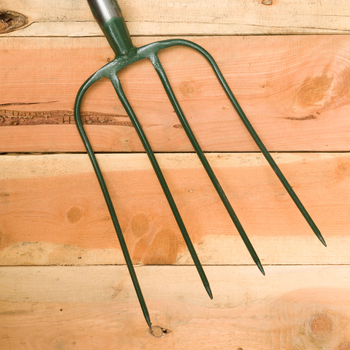 4-Tine Strapped Manure Fork 