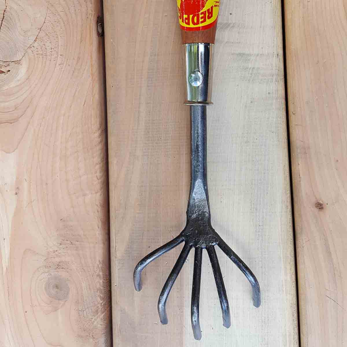 Crows Foot- Small