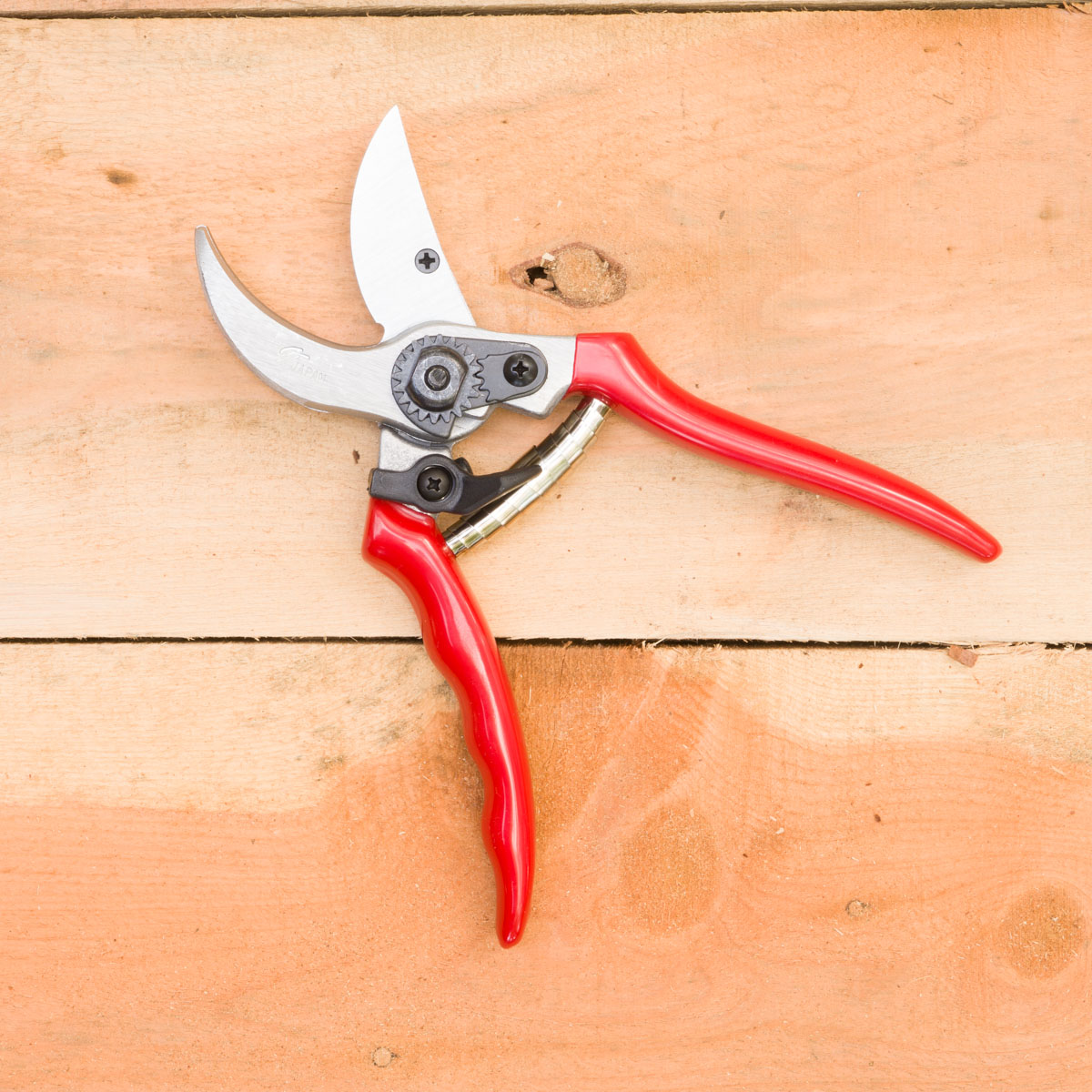 Basic Hand Pruner (HPK-KS4)