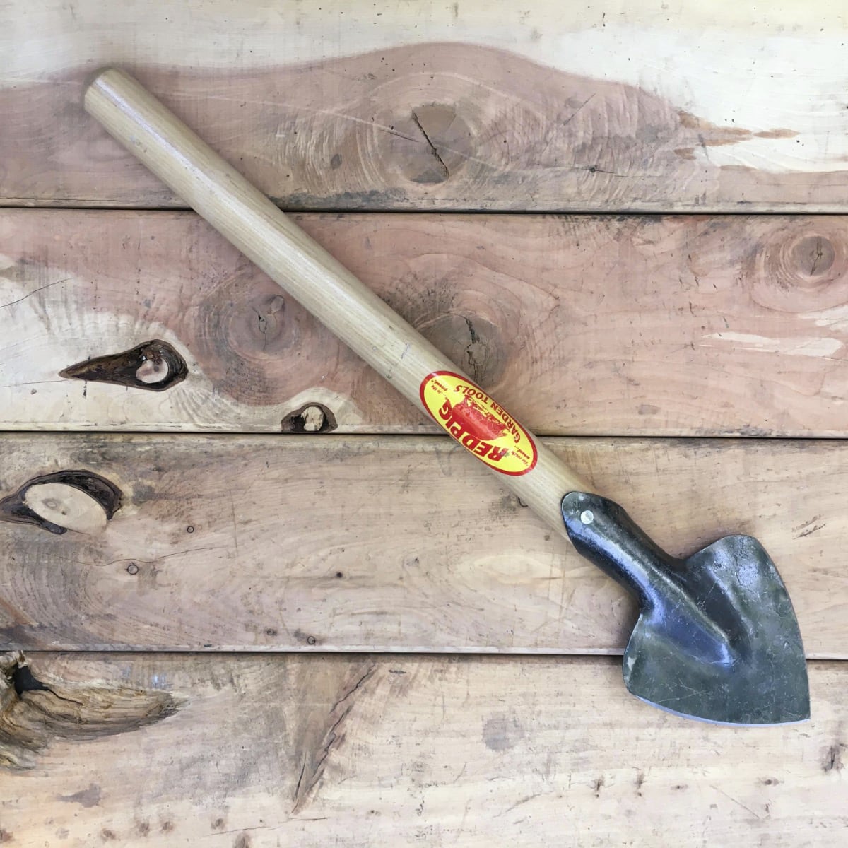 The heart spade is best put to use for splitting clumps of flowers that grow from tubers, such as irises.