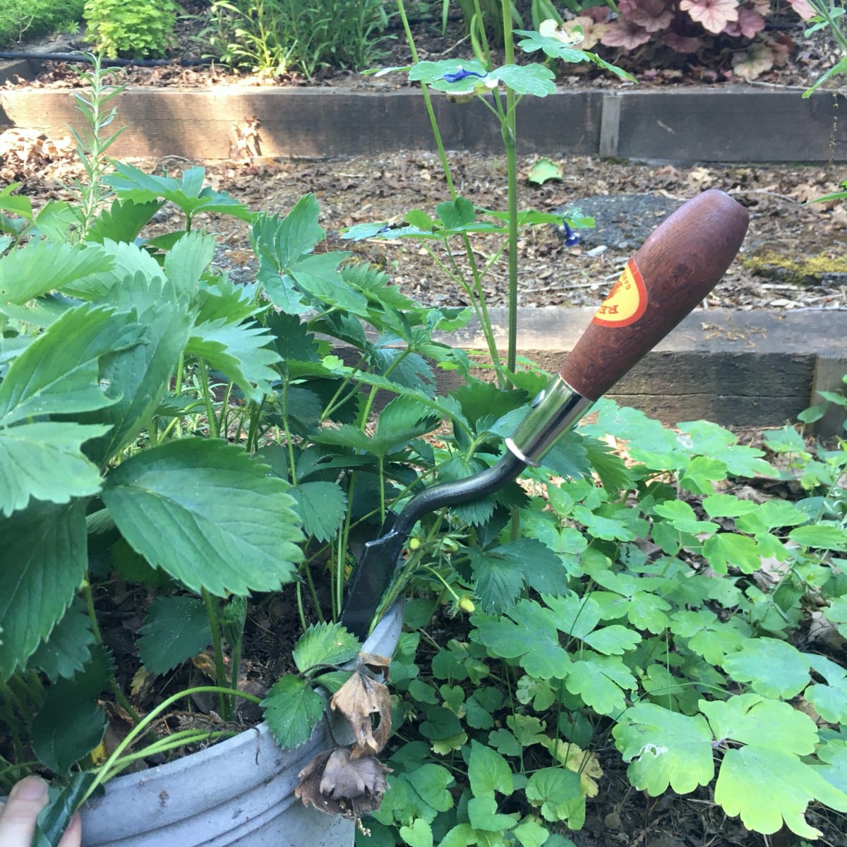 How to use the potting trowel for container gardening.