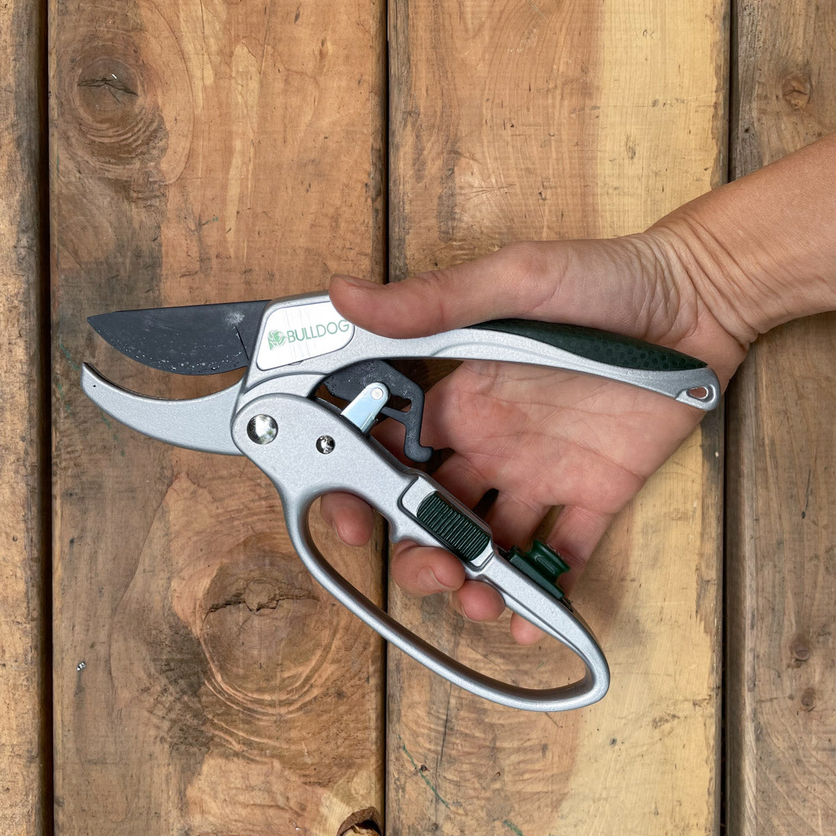 The pruner fits in different hand sizes. Shown here in a hand that measures 7" from wrist to fingertips and 3" wide.