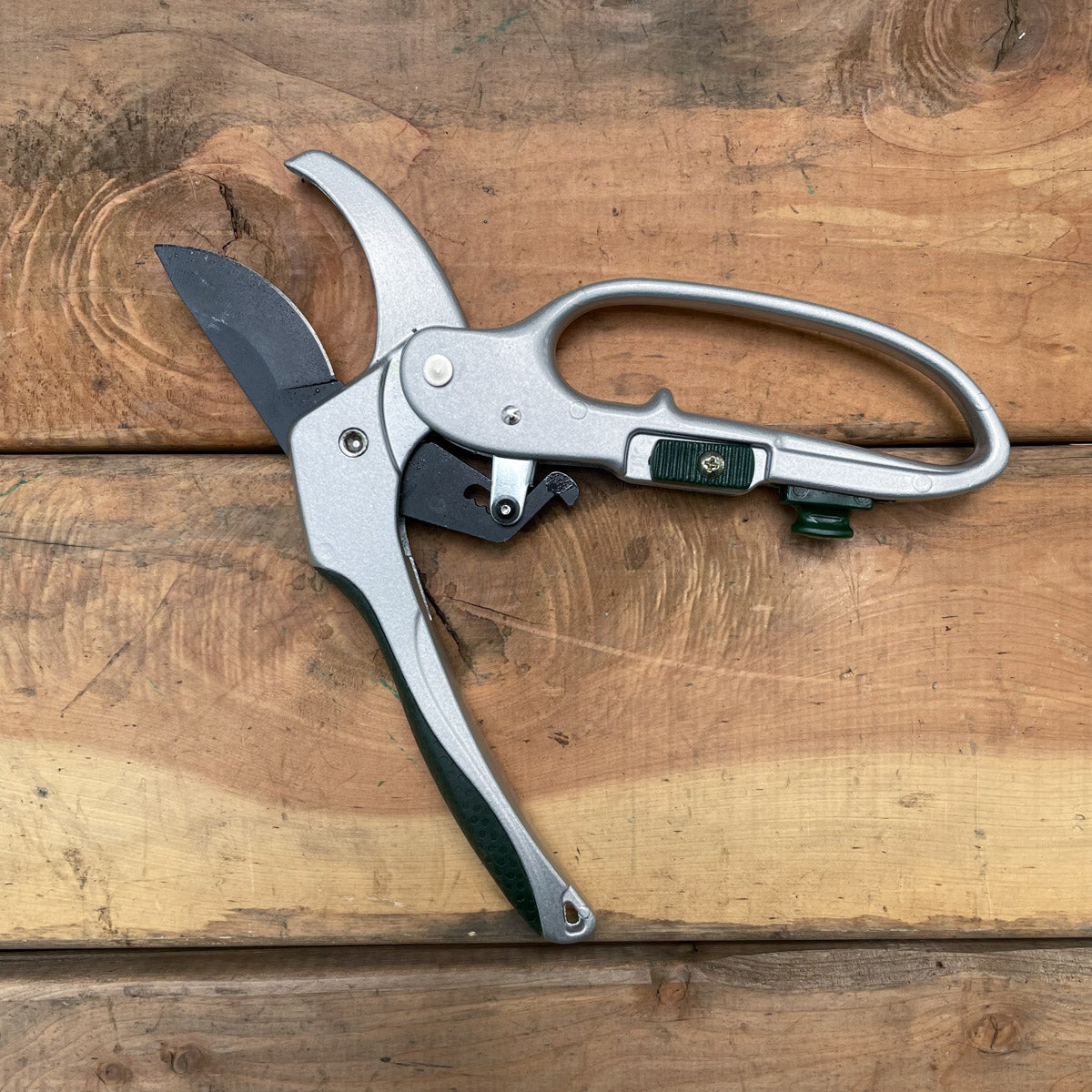 Ratchet Pruner Shear (Pedigree)