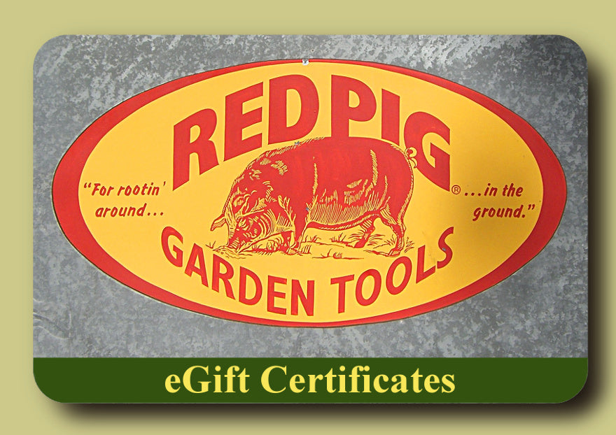 e-Gift Cards / Certificates