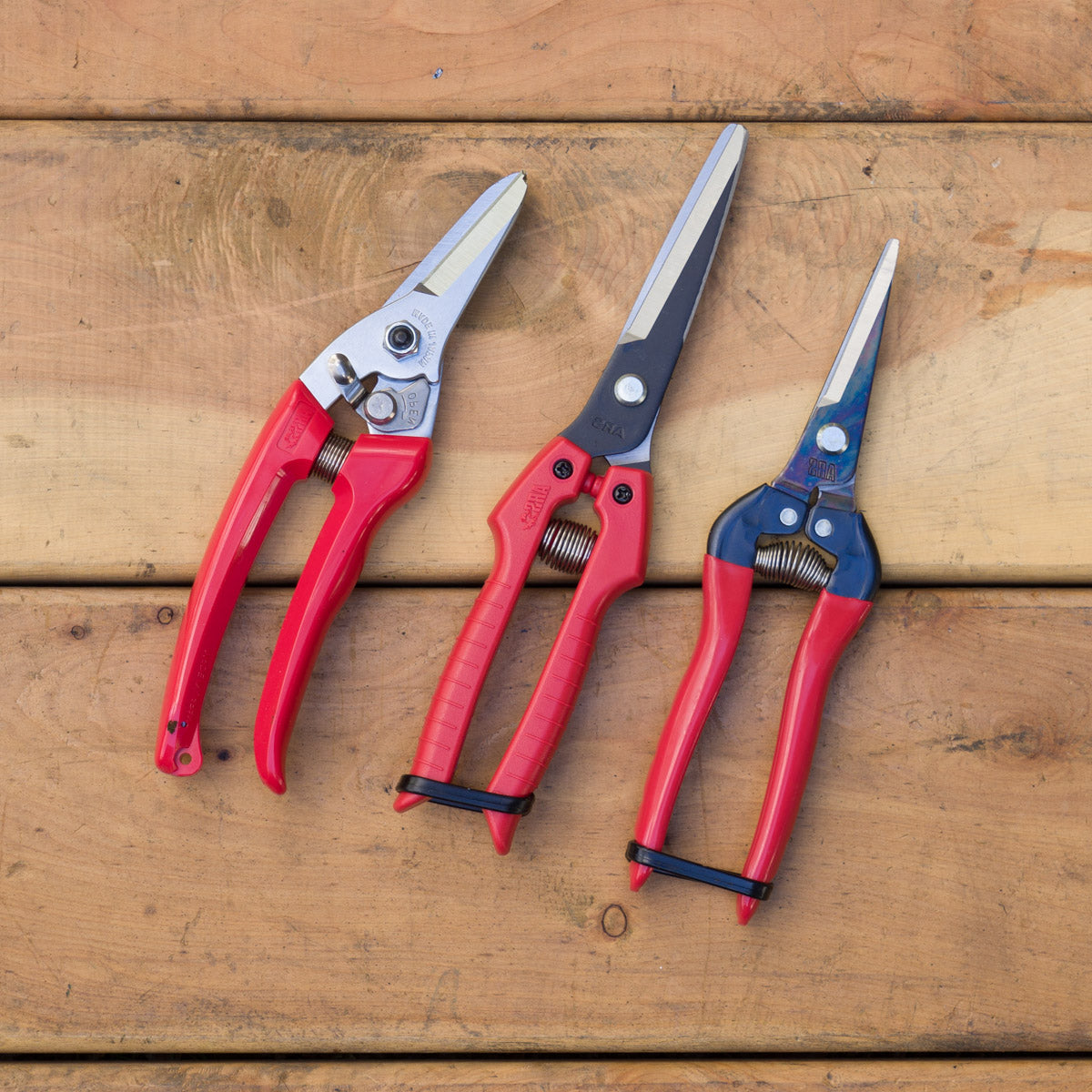 ARS Onion Scissors - extra long blade (SE65)